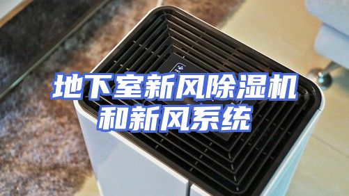 地下室新风除湿机和新风系统