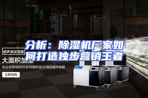 分析：除湿机厂家如何打造独步营销王者