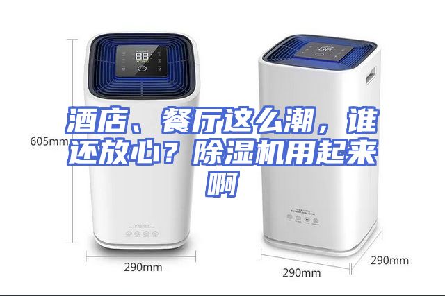 酒店、餐厅这么潮，谁还放心？除湿机用起来啊