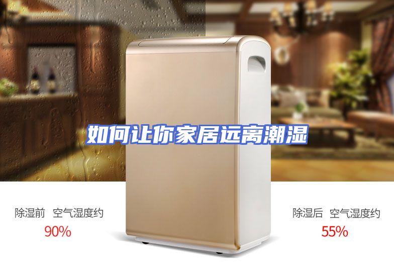 如何让你家居远离潮湿
