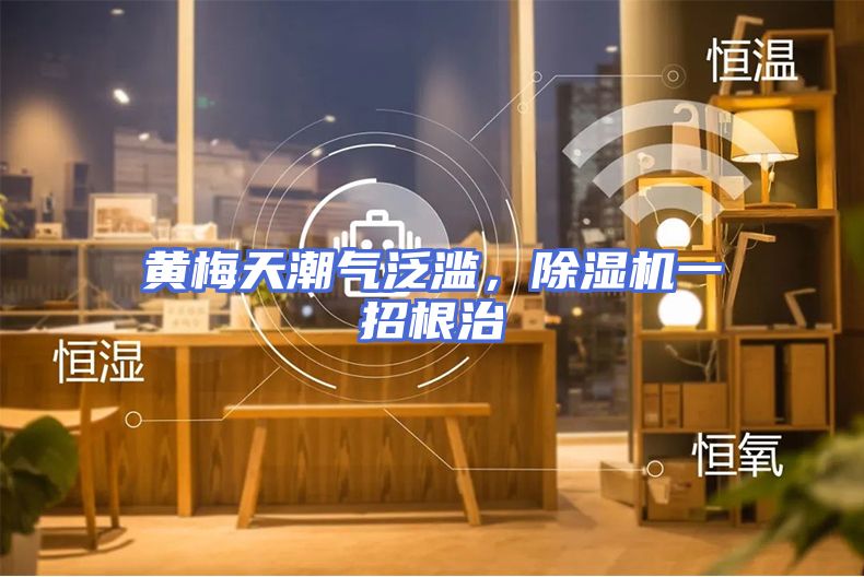 黄梅天潮气泛滥，除湿机一招根治