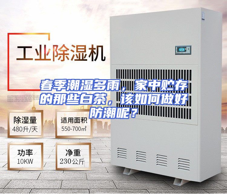 春季潮湿多雨，家中贮存的那些白茶，该如何做好防潮呢？