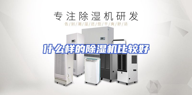 什么样的除湿机比较好