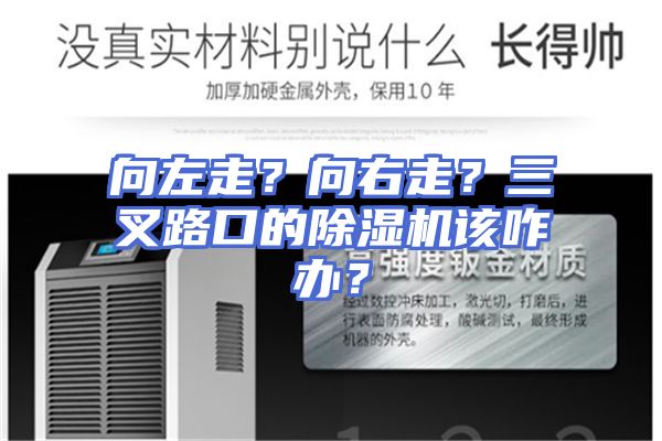 向左走?向右走?三叉路口的除湿机该咋办?