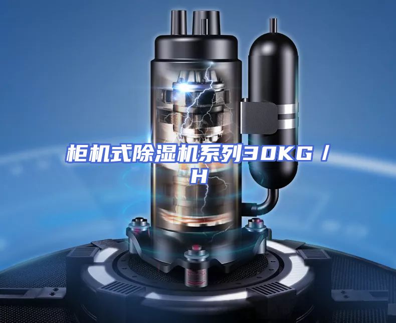 柜机式除湿机系列30KG/H