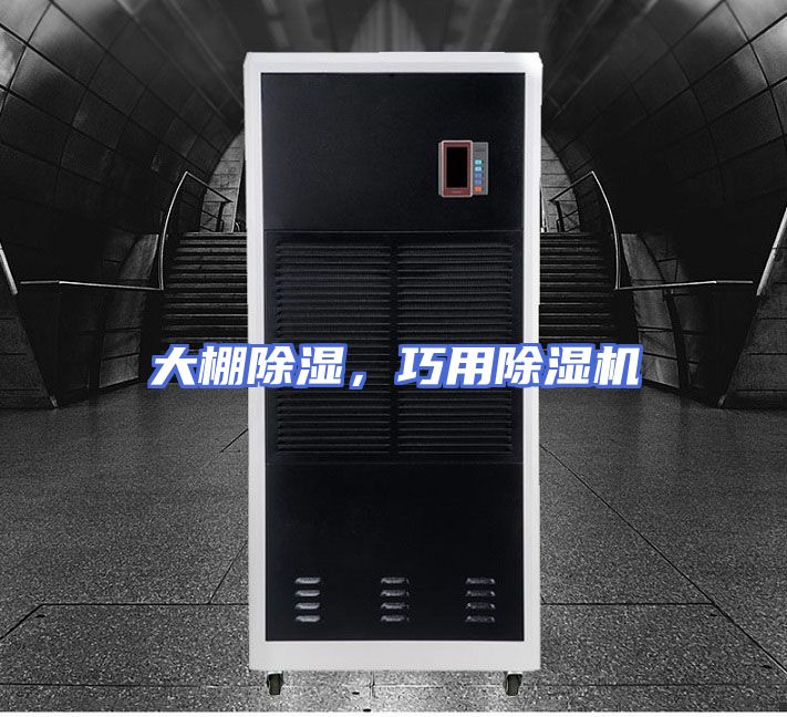 大棚除湿，巧用除湿机