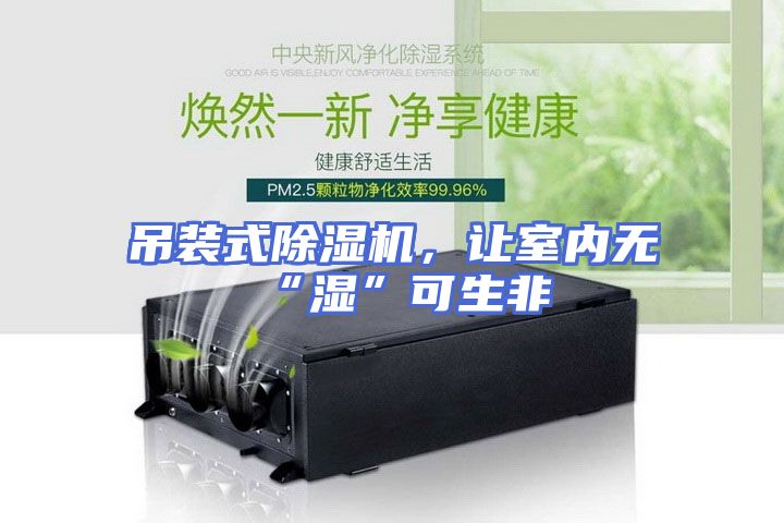 吊装式除湿机，让室内无“湿”可生非