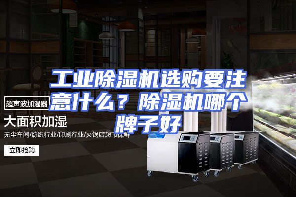 工业除湿机选购要注意什么？除湿机哪个牌子好
