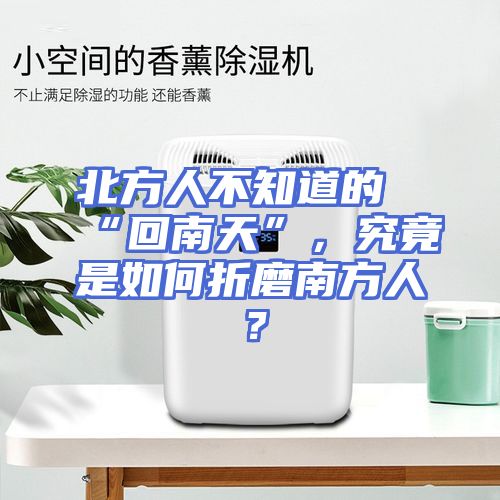 北方人不知道的“回南天”，究竟是如何折磨南方人？