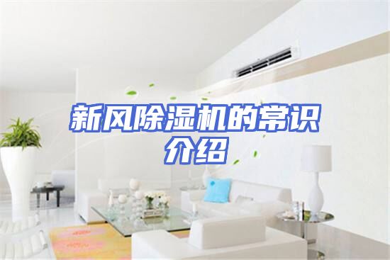 新风除湿机的常识介绍