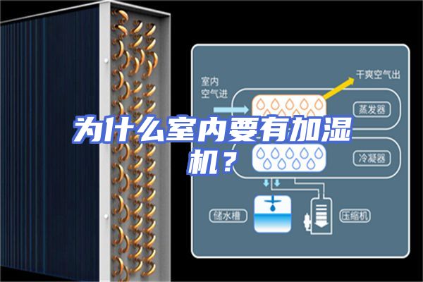 为什么室内要有加湿机？