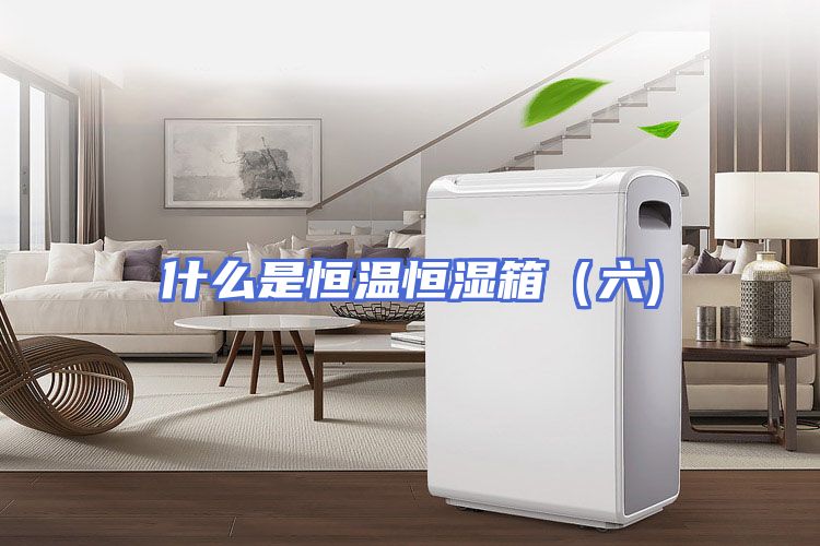 什么是恒温恒湿箱（六)