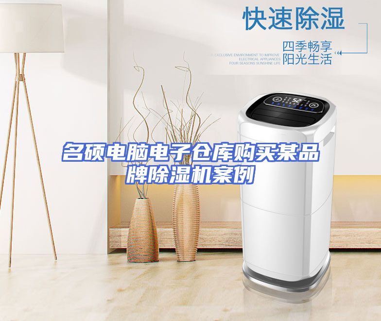名硕电脑电子仓库购买某品牌除湿机案例