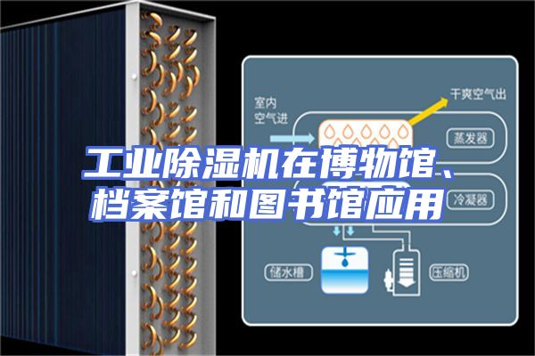工业除湿机在博物馆、档案馆和图书馆应用