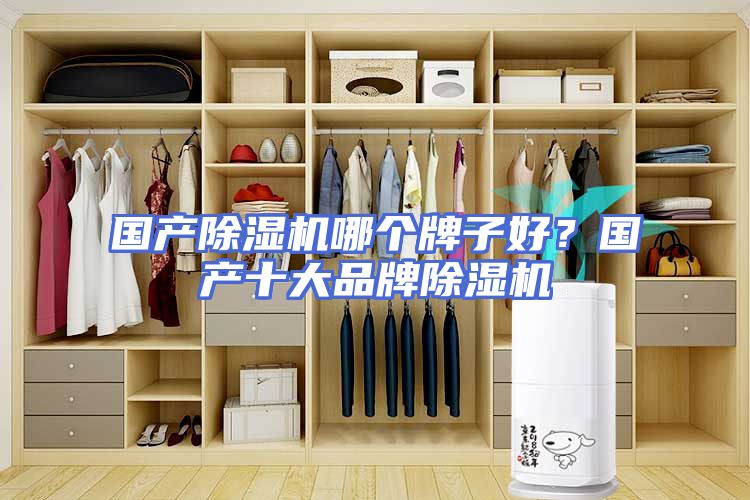 国产除湿机哪个牌子好?国产十大品牌除湿机