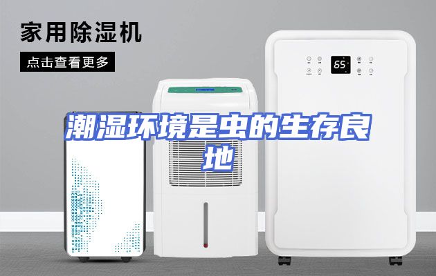 潮湿环境是虫的生存良地