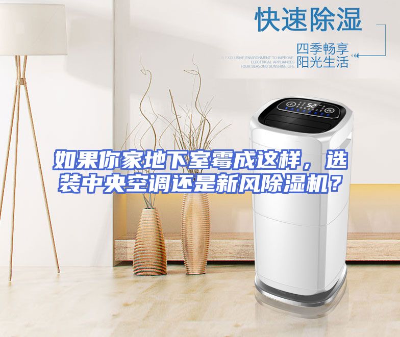 如果你家地下室霉成这样，选装中央空调还是新风除湿机？