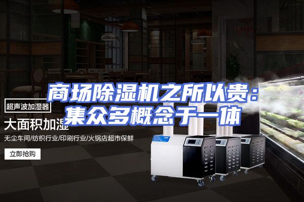 商场除湿机之所以贵:集众多概念于一体