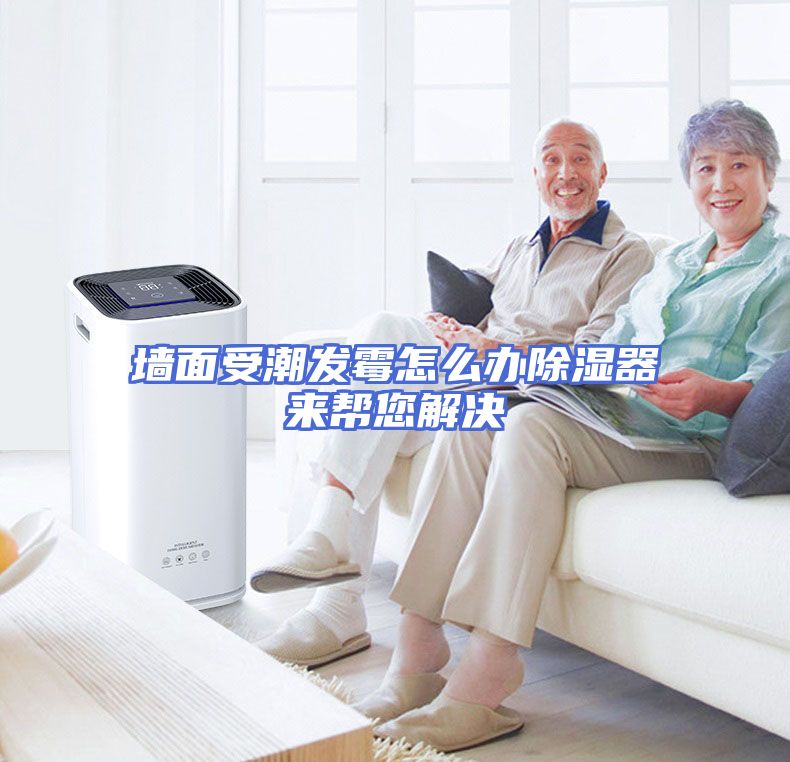 墙面受潮发霉怎么办除湿器来帮您解决