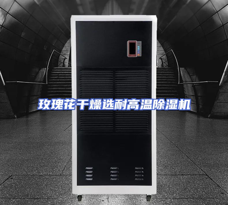 玫瑰花干燥选耐高温除湿机