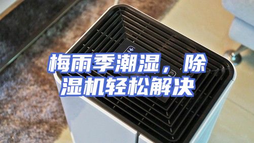梅雨季潮湿，除湿机轻松解决