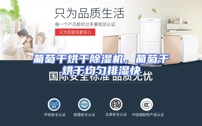 葡萄干烘干除湿机，葡萄干烘干均匀排湿快