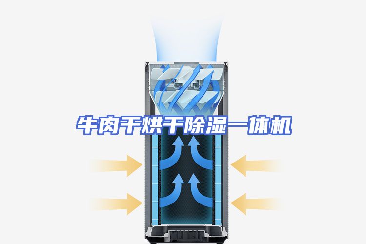 牛肉干烘干除湿一体机