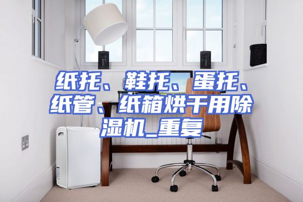 纸托、鞋托、蛋托、纸管、纸箱烘干用除湿机_重复