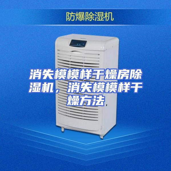 消失模模样干燥房除湿机，消失模模样干燥方法