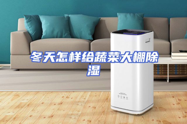 冬天怎样给蔬菜大棚除湿