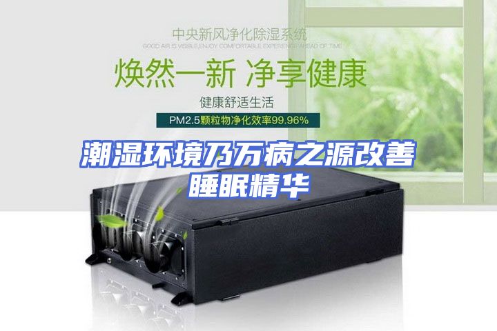 潮湿环境乃万病之源改善睡眠精华