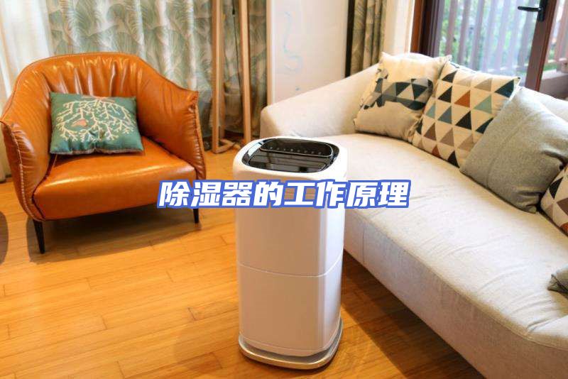 除湿器的工作原理