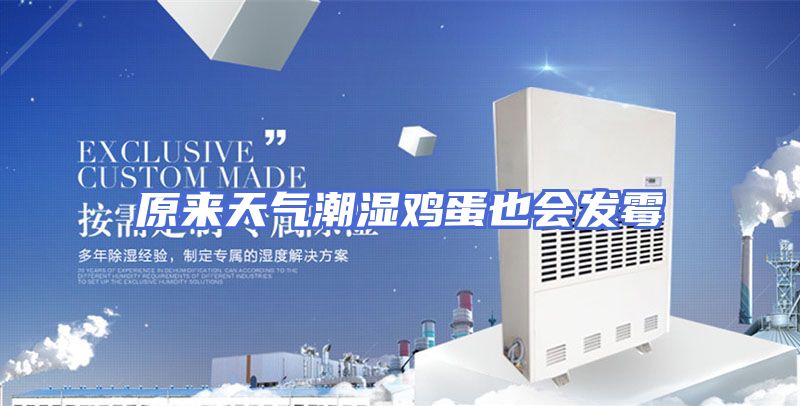 原来天气潮湿鸡蛋也会发霉