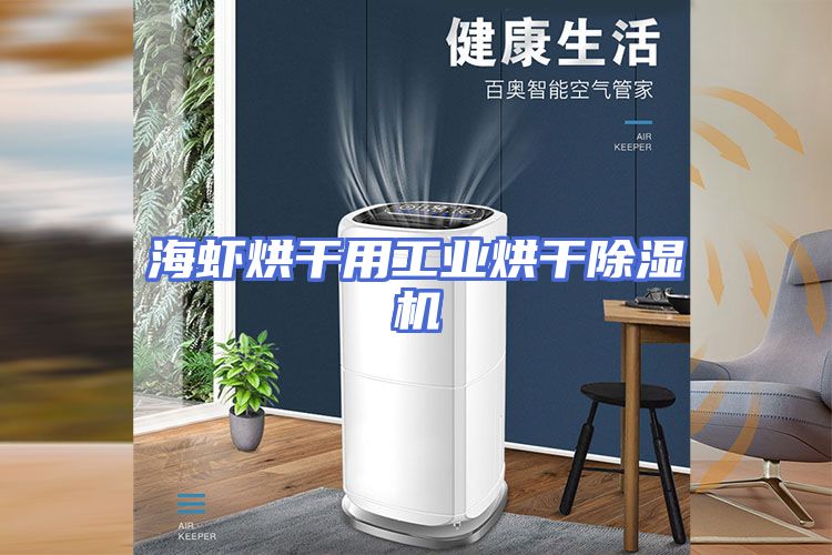 海虾烘干用工业烘干除湿机
