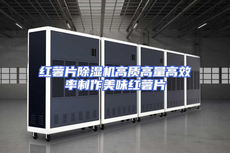 红薯片除湿机高质高量高效率制作美味红薯片