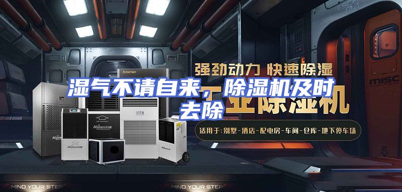 湿气不请自来,除湿机及时去除