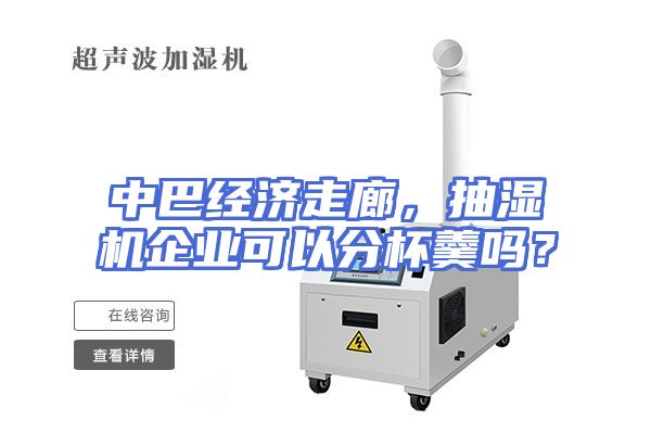 中巴经济走廊，抽湿机企业可以分杯羹吗？
