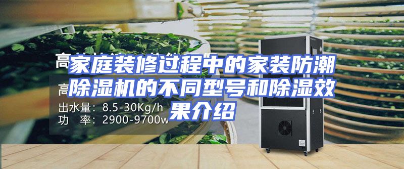 家庭装修过程中的家装防潮除湿机的不同型号和除湿效果介绍