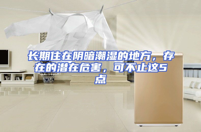长期住在阴暗潮湿的地方，存在的潜在危害，可不止这5点