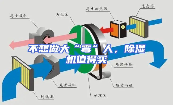 不想做大“霉”人，除湿机值得买