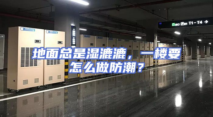 地面总是湿漉漉，一楼要怎么做防潮？