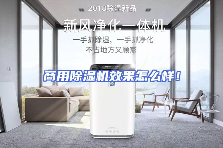 商用除湿机效果怎么样！