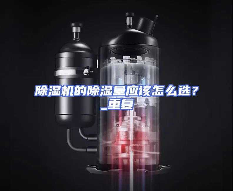 除湿机的除湿量应该怎么选？_重复
