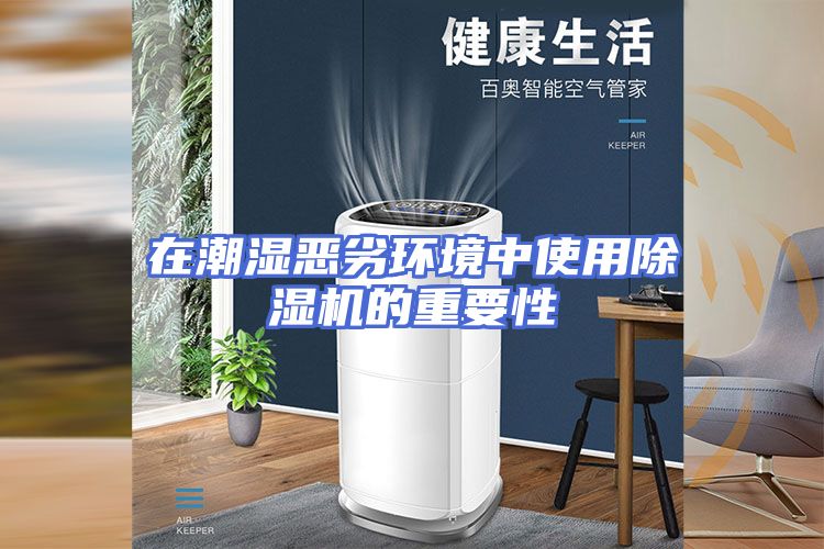 在潮湿恶劣环境中使用除湿机的重要性