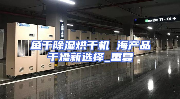 鱼干除湿烘干机 海产品干燥新选择_重复