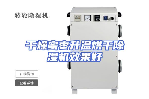 干燥蜜枣升温烘干除湿机效果好