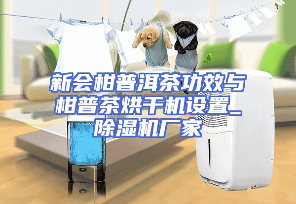新会柑普洱茶功效与柑普茶烘干机设置_除湿机厂家