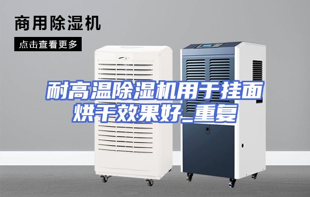 耐高温除湿机用于挂面烘干效果好_重复