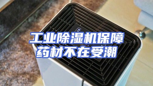 工业除湿机保障药材不在受潮