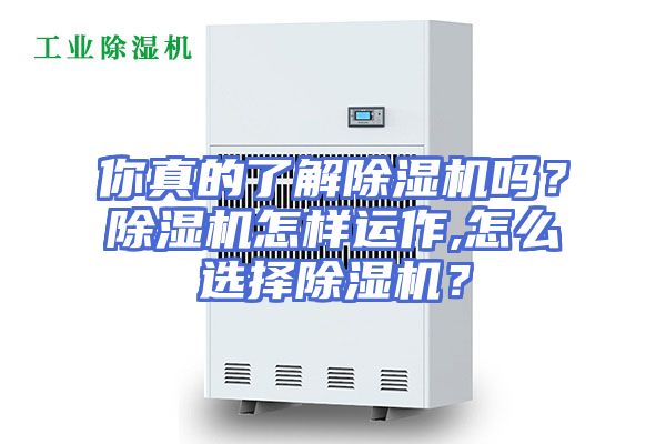你真的了解除湿机吗？除湿机怎样运作,怎么选择除湿机？